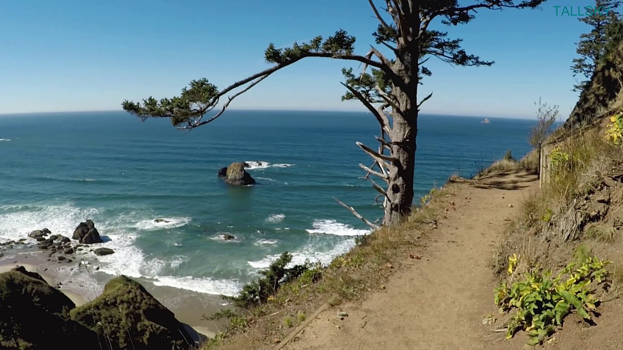Ecola State Park Hike 4K Hike Along Oregon Coast With Beautiful Views! Forest/Beach-Ecola State  Park - Youtube
