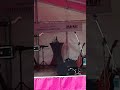 Nafisa Bellydance Baladi Accordion Cocktail 