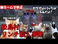 猫ミームで学ぶ姫島村リンチ殺人事件 #猫マニ #猫ミーム