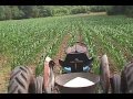 Cultivating Corn 1