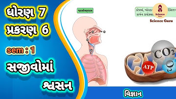 Sajivoma svasan || std 7 science ch 6 || સજીવોમાં શ્વસન || ધોરણ 7 વિજ્ઞાન પાઠ 6 ||