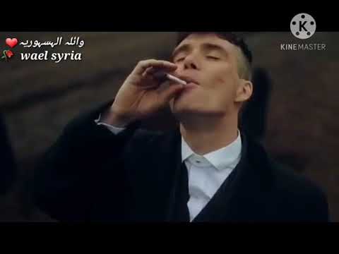 لفلي حشيش مع تومس