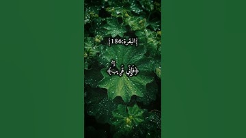 🎧 تلاوة تهز القلوب ❤️ ﴿فإني قريب﴾ بصوت الشيخ عبد الباسط عبد الصمد#قرآن #عبد_الباسط  #سورة_البقرة
