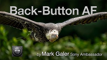 Back Button Focus for Sony Alpha Cameras