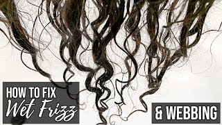 Causes of Wet Frizz & Webbing + How to Fix It!