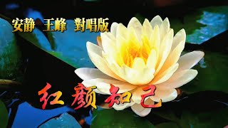 Video thumbnail of "安静🈴王峰 《紅顏知己》 對唱版 就在來生的路口等妳  HD"