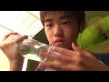 ASMR この動画で睡眠不足がいなくなった💤