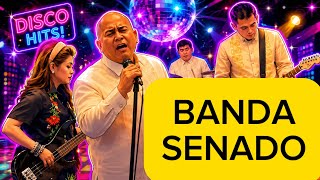 BANDA NG SENADO VIRAL NOW🔥  | DJ Onyok Luhan Mix | Disco cha cha , reggae 🪩🍀👊💃🏼