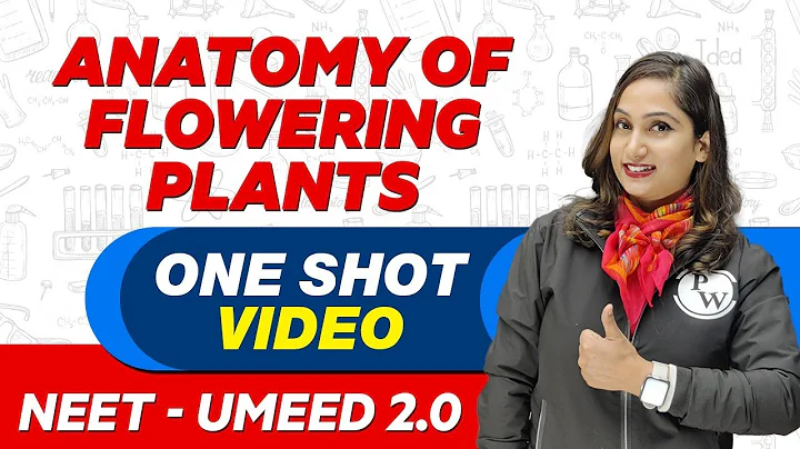 ANATOMY OF FLOWERING PLANTS in 1 Shot : All Concepts, Tricks & PYQs | NEET Crash Course | UMEED 2.0