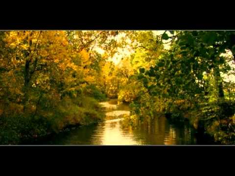 Saulius Bareikis (Aktorių trio) - Ruduo.mpg accords