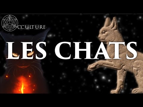 Les Chats - Occulture Episode 34