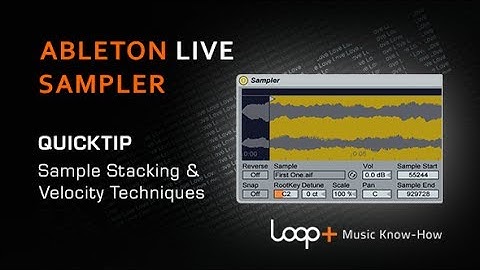Stacking Samples & Velocity Tips For Ableton Sampler - Loop+ Quick Tip