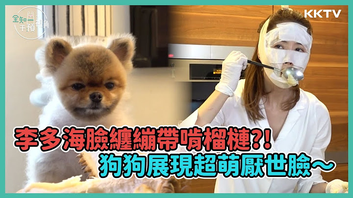 《全知干預視角》李多海臉纏繃帶啃榴槤，狗狗展現超萌厭世臉🥺 - EP21 精彩片段｜KKTV 線上看 - 天天要聞
