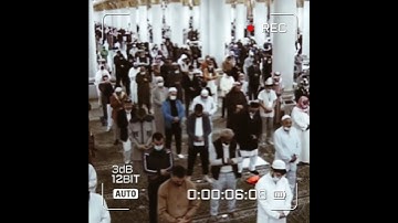 قبس من الحرم سورة نوح الشيخ أحمد بن طالب بن حميد