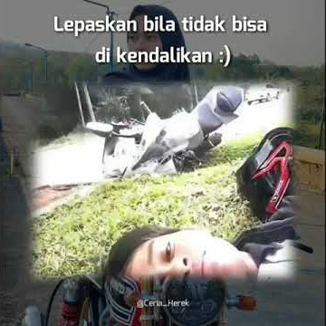 story' wa cb gl mp Tiger paling lucu ngakak terlalu santuy nih orang !!