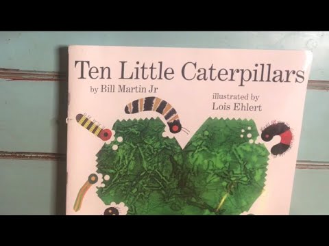 Bilingual - Ten Little Caterpillars - Watch and learn Spanish! - YouTube