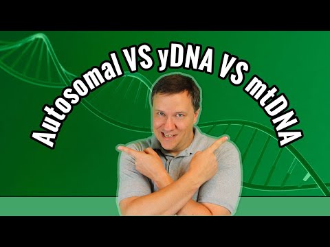 Video: Autosomal DNA: Definition, Dominerende, Recessiv, Test, Eksempler