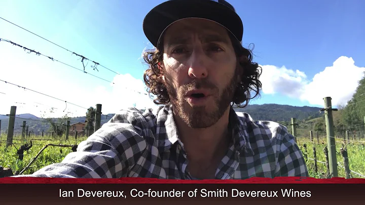 Smith Devereux Wines: Discover this Napa Winery