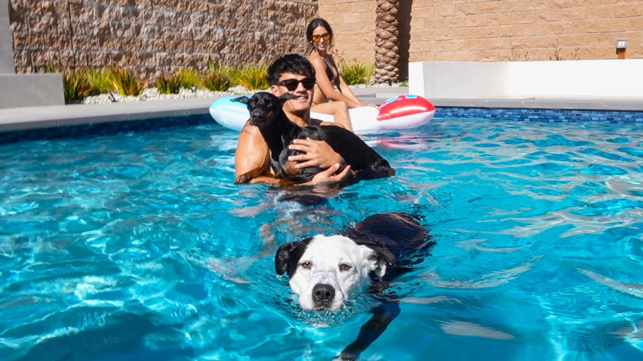 ARE LATINAS THE BEST? NEW POOL