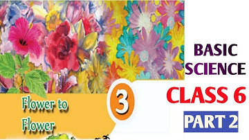Class 6 Chapter 3 Basic Science Flower to Flower Kerala Syllabus | Part 2