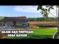 Khas Suasana Pelosok Desa Yang Menentramkan Jiwa Inilah Suasana Desa Gayam Blora | Part 01