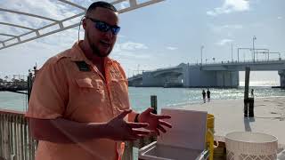 How to brine your bait for fishing snapper, grouper and more | http://www.HubbardsMarina.com
