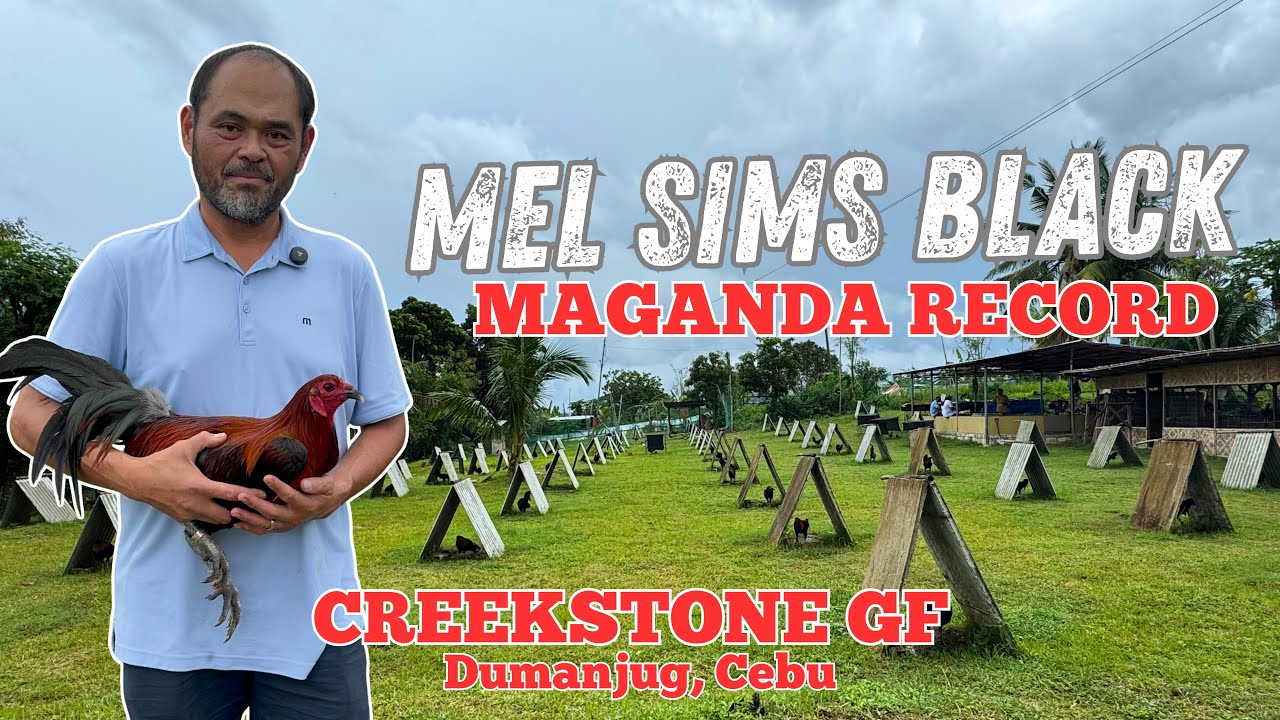 Magkano Gasto Mag Import? | Jason Castro 