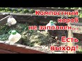 Кабачки на компостной грядке без удобрений и всегда с урожаем! Кабачки, тыквы в пластиковых бутылках