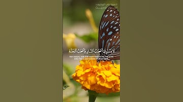 من سورة الحشر، ولا تكونوا كالذين نسوا الله #علي_جابر #قرآن #اكسبلور