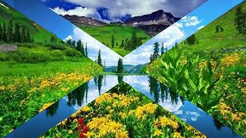 خالد الجليل سوره الانبياء