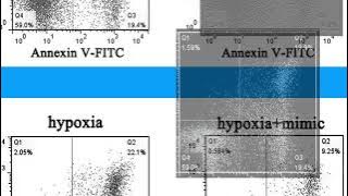 8A9BE370D6CB4ED5F6DAC86404A4F7#1