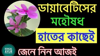 ডায়াবেটিস নিয়ন্ত্রণ করার শ্রেষ্ঠ উপায় | Diabetes Control tips in bengali