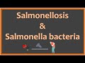 Salmonellosis and Salmonella bacteria