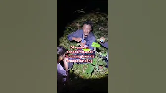 Di temukan pendaki tersesat di gunung Lawu via cemoro kandang. Di bawah pos 1