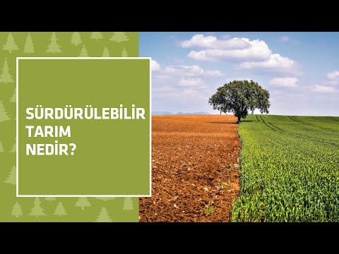 Video: Aşağıdakilerden hangisi sürdürülebilir tarımın amaçlarından biridir?
