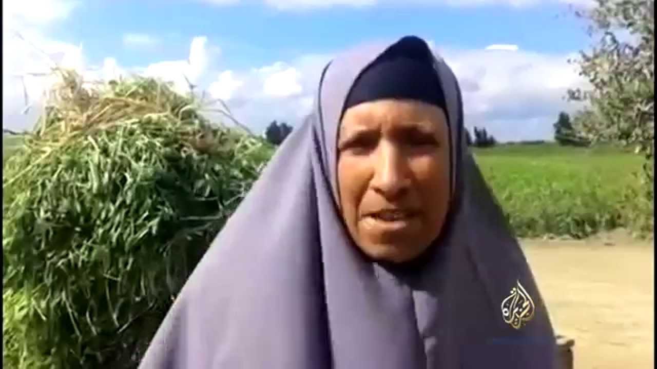 شكاوي من فلاحين بسبب تدني أسعار المحاصيل رغم ارتفاع تكلفتها