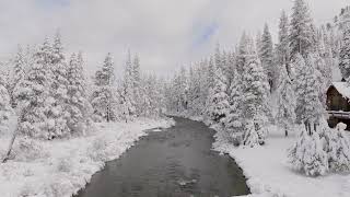 Explore this private property on the Truckee River | Drone Video