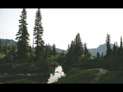 أغنية للفنان مصطفى أومݣيل Adorala Awa Baraka Nimtawn