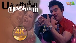 பச்சைக்கிளி முத்துச்சரம் Pachaikili Muthucharam Song-4K HD Video  #mgrsongs #tamiloldsongs