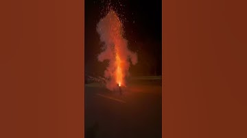4” Inch Blue Chrysanthemum Display Shell