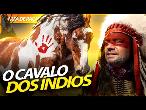 Vídeo: Cavalo árabe