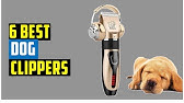 Best Dog Clippers for Matted Hair - 10 Best Dog Clippers for Thick Coats  and Matted Hair - YouTube