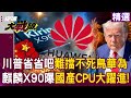 俄烏戰爭的停火協議進展