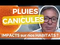 Canicules, pluies, sécheresses : les évolutions climatiques impactent-elles nos habitats ?