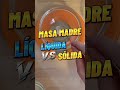 Masa Madre líquida vs Masa Madre sólida