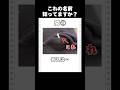 こんな名前絶対知らない5選 #クイズ #暇つぶし #ゲーム
