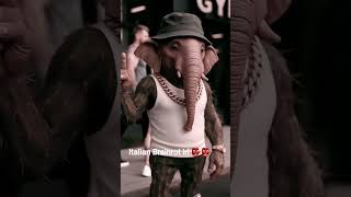 Ballarena Cappuccino