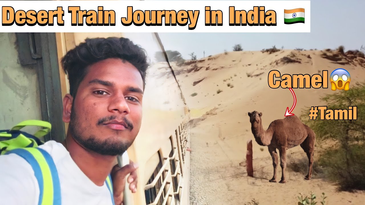 Desert Train Journey in India😱Thar Desertjodhpur To JaisalmerAll
