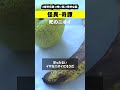 【死のニオイ】#都市伝説 #怖い話 #ホラー#事件 #shorts