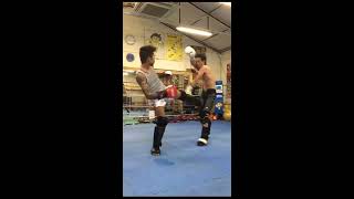 2017061601 toellgym.com